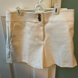 Loft size 6 shorts NWT